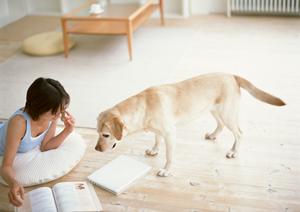 ブリーダーは望月ドッグスタジアムです